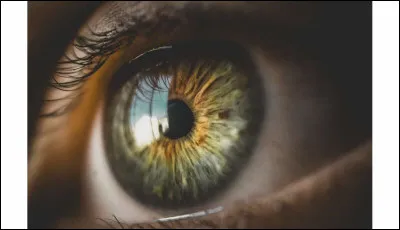 De quelle couleur sont tes yeux ?