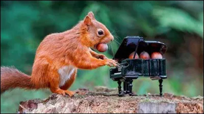 Quelle est ta plus grande qualité ?