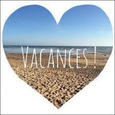 Si tu pouvais choisir, pour les vacances dété, tu irais :