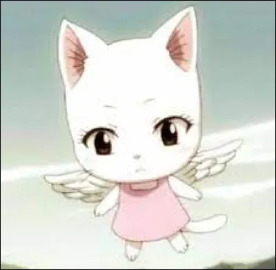 De quelle couleur est son pelage ?