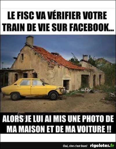 Qui produit des fruits !