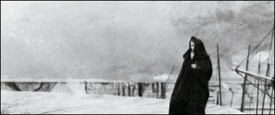 "La Maîtresse du lieutenant français" est interprété par Julia Roberts.