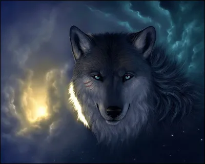 Le loup vit-il seul ou en meute ?