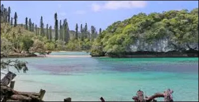 Quelle est la langue officielle de la Nouvelle-Calédonie ?