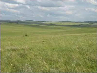 Qu'est-ce qu'une steppe ?