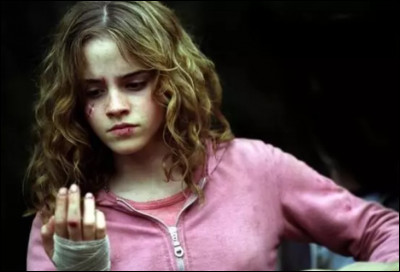 Et où est allée Hermione pendant les grandes vacances dété ?