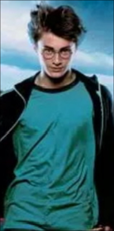 Et qui est venu rendre visite à Harry pendant ses grandes vacances dété ?