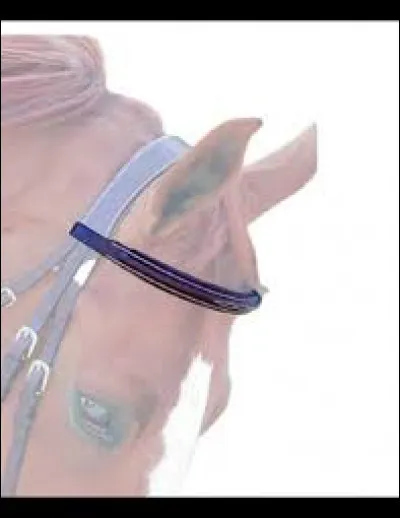 Comment s'appelle la partie en foncé sur la photo ?