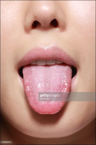 Combien de goûts peut ressentir la langue ?