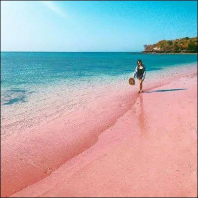 "J'avais dessiné sur le sable / son doux visage qui me souriait...". Quel est ce titre de Christophe ?