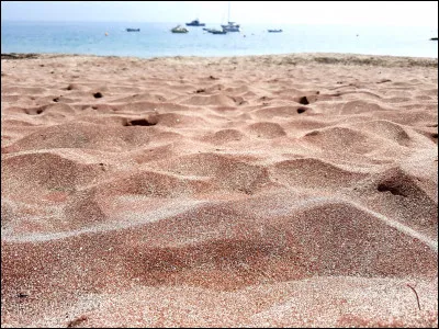 "Il était mince, il était beau / Il sentait bon le sable chaud / Mon légionnaire...". De qui sont ces paroles ?