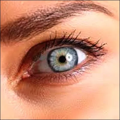 Quelle partie de l��il peut &ecirc;tre compar&eacute;e quant &agrave; sa fonction au diaphragme d�un appareil photographique ?