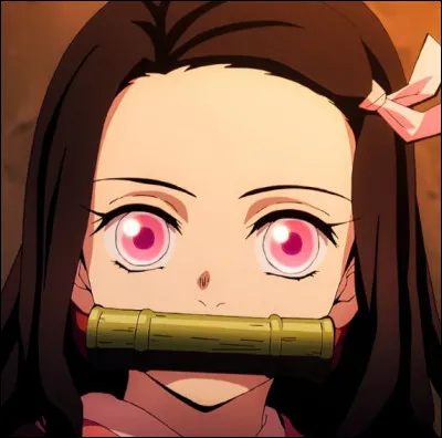 Quelle saison pr&eacute;f&egrave;res-tu ?