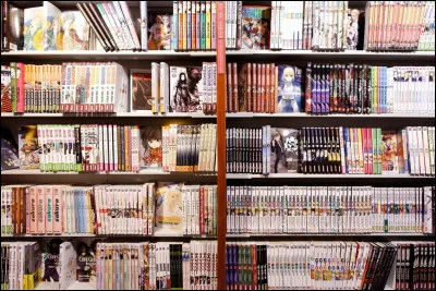Quel est ton thème de manga favori ? (2/3)