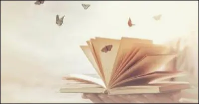 Quelle catégorie de livres préfères-tu ?