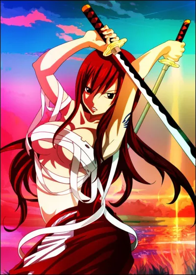 Quel est le manga avec ce personnage ?