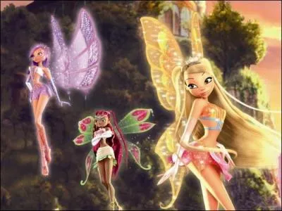 Comment s'appelle la nouvelle transformation ?