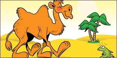 Quel est le féminin de "chameau" ?