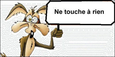 "Ne touche à rien.", cette phrase est de type :