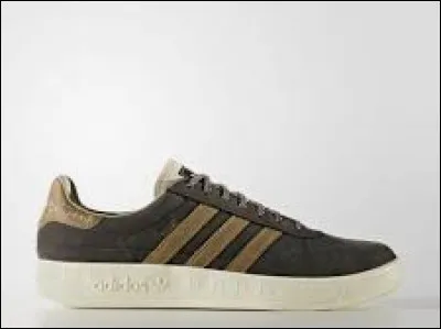 Nous avons vomi sur nos chaussures.