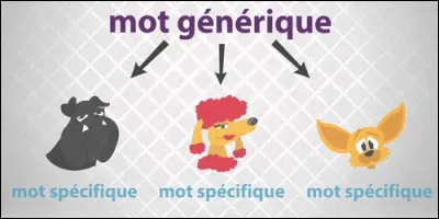 La sole, le turbot et le merlan sont :