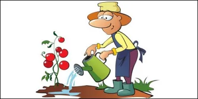 Complétez cette phrase : "Le jardinier arrose.....légumes dans le potager".