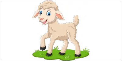 Comment appelle-t-on le petit du mouton et de la brebis ?