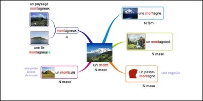 Les mots "école", "écolier", "scolaire" et "scolarité" appartiennent à la même famille.