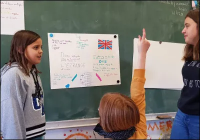 Situation - Tu dois faire un exposé sur les lions. Aujourd'hui, c'est le jour où tu dois passer. Es-tu stressé ?