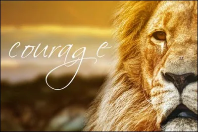 Es-tu courageux/courageuse ?