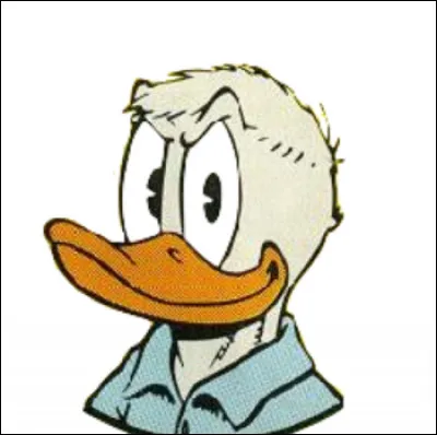 Barnabé Duck est le cousin germain de Donald Duck.