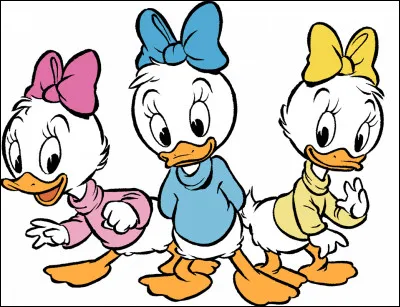 Lilli, Lulu et Zizi Duck sont les nièces de Daisy Duck.