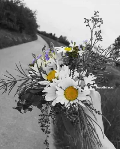 Qui chantait " Des fois j'aimerais être un oiseau pour pouvoir cracher de plus haut", paroles extraites de sa chanson "Sur la route" ?