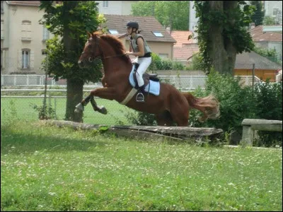 Quelle discipline ne figure pas dans le "Concours Complet" ?