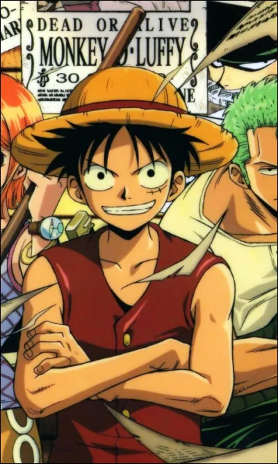 Quel est le pavillon de Luffy ?
