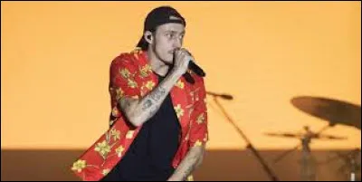 Quel style de musique chante-t-il ?