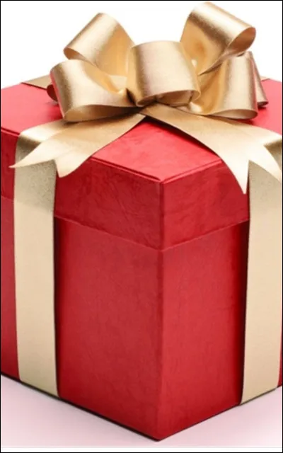 C'est l'anniversaire de ton copain ou de ta copine. Que lui offres-tu ?