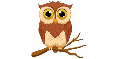 Lequel d'entre eux est un animal nocturne ?