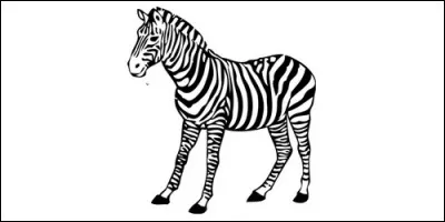 Quel est le nom de cet animal rayé ?