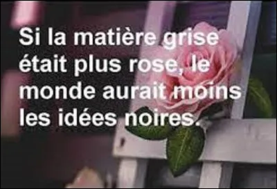 Citation : 
Quel humoriste et comédien a dit : ''Si la matière grise était plus rose, le monde aurait les idées moins noires'' ?