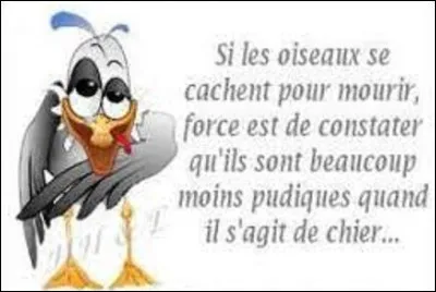 Animaux : 
Le verdier est un passereau de nos campagnes. Quelle couleur n'arbore pas son plumage ?