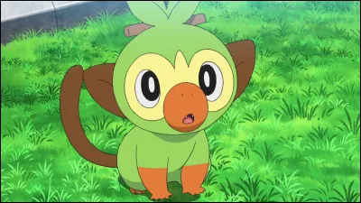 Quel est ce Pokémon ?