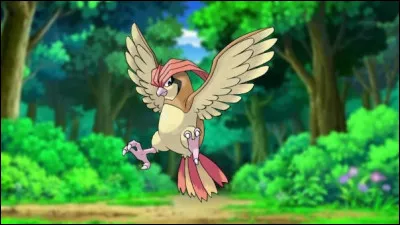Quel est ce Pokémon ?