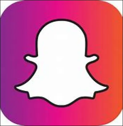 Quel est ton r&eacute;seau social pr&eacute;f&eacute;r&eacute; ?