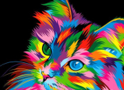 Quiz Les couleurs en anglais avec les chats