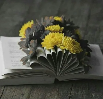 À qui appartient le livre "Le Chapelier et son château" ?