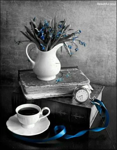 Qui a écrit "Chéri Bibi" ?