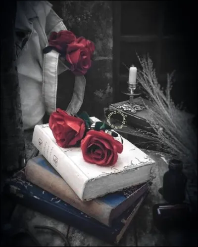 À qui doit-on "Le Sagouin" ?