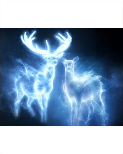 Quelle sort préfères-tu ?