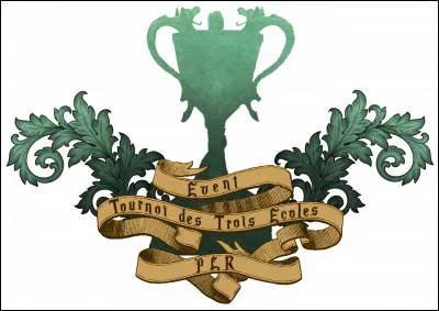 Est-ce que tu t'inscrirais au tournoi des trois sorciers ?